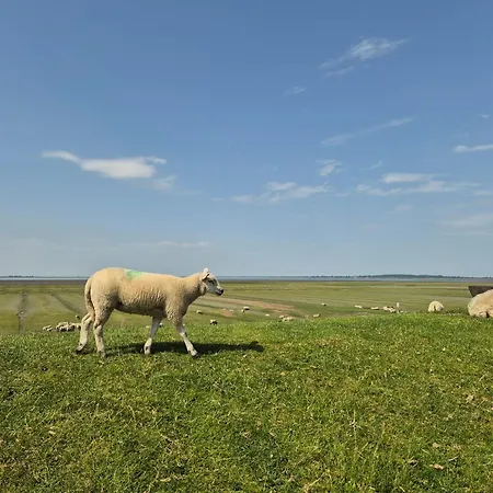 Gemuetliche In Der Husum Nordsee *