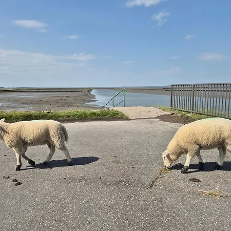 Gemuetliche In Der Husum Nordsee Hattstedt